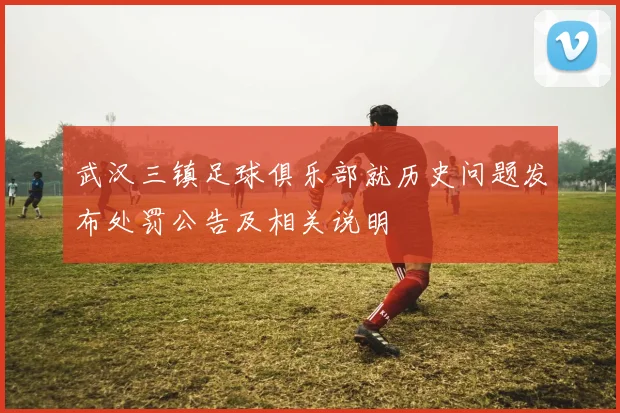 武汉三镇足球俱乐部就历史问题发布处罚公告及相关说明