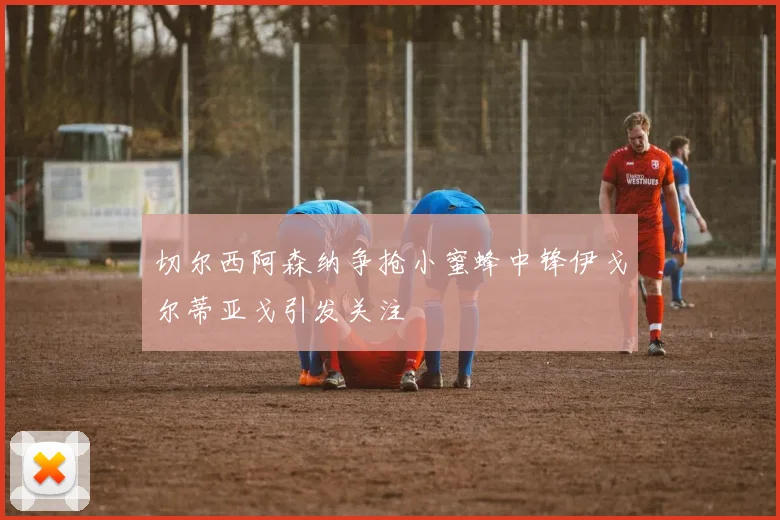 切尔西阿森纳争抢小蜜蜂中锋伊戈尔蒂亚戈引发关注