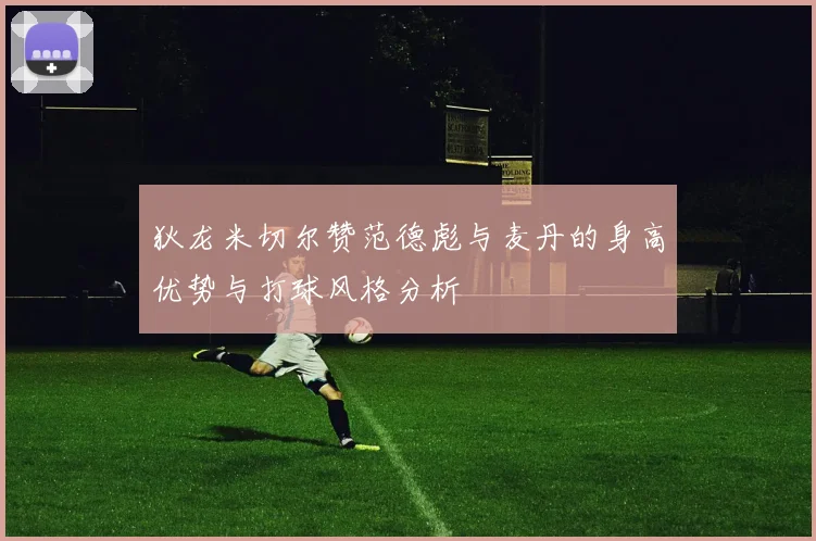 狄龙米切尔赞范德彪与麦丹的身高优势与打球风格分析