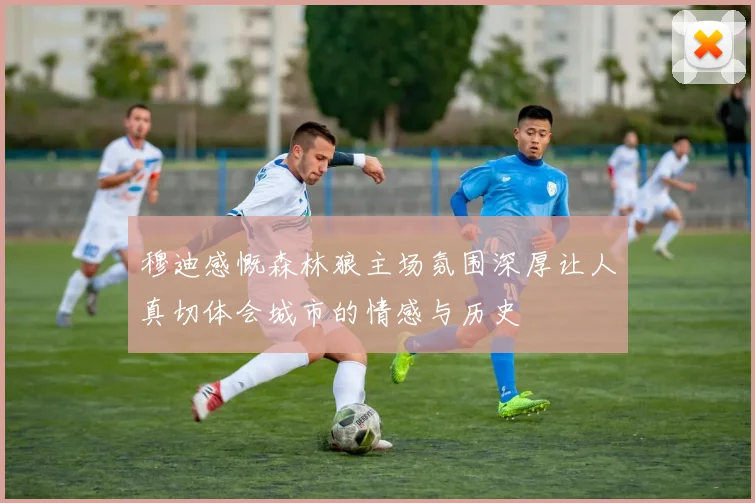 穆迪感慨森林狼主场氛围深厚让人真切体会城市的情感与历史